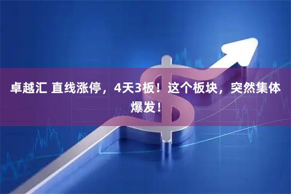 卓越汇 直线涨停，4天3板！这个板块，突然集体爆发！