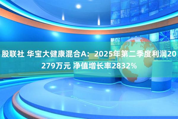 股联社 华宝大健康混合A：2025年第二季度利润20279万元 净值增长率2832%