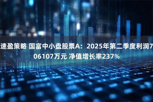速盈策略 国富中小盘股票A：2025年第二季度利润706107万元 净值增长率237%